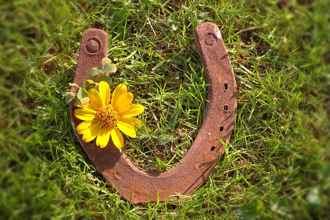 Erfahren Sie mehr über die aktuelle Situation von männlichen Österreichern ohne berufliche Ausbildung aus Reutte, die zuletzt im Fremdenverkehr tätig waren. Ihre Herausforderungen im Fokus.
