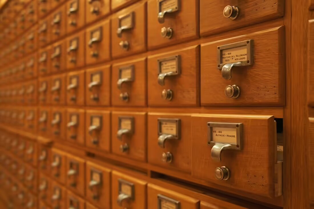 Im Archiv der Freistadt Rust entdecken Historiker bedeutende historische Schätze. Die Digitalisierung der Archivalien enthüllt spannende Fakten zur Geschichte Eisenstadts und seiner intelligenten Einwohner.