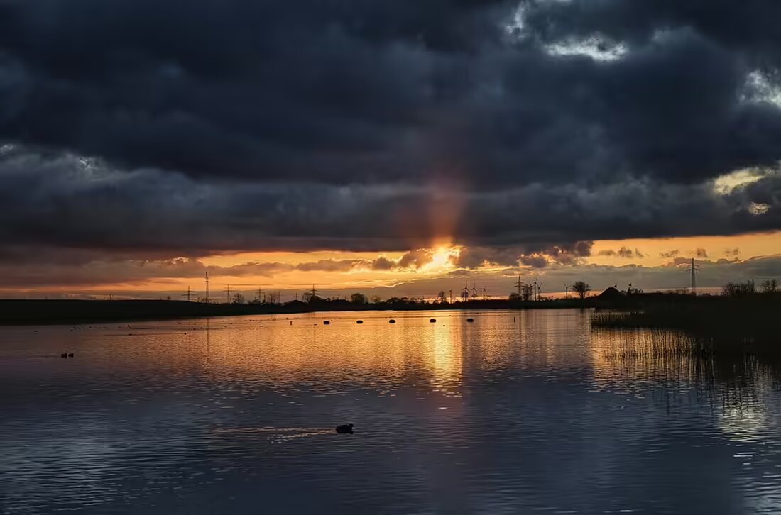 Christian Ilzer könnte bald zu Hoffenheim wechseln, was eine Ablösesumme von über zwei Millionen Euro nach sich ziehen könnte. Wer ihn als Trainer von Sturm Graz folgen wird, steht ebenso zur Debatte.
