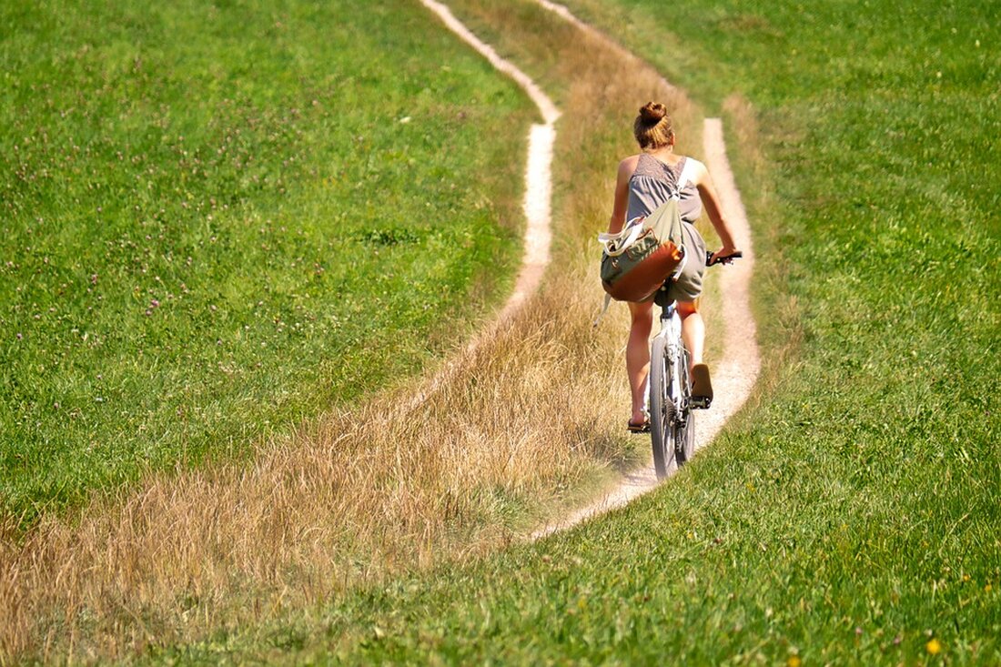 Ein neuer Wasserverband bringt frischen Wind in die Umgestaltung der Salzach: 45 Millionen Euro für Hochwasserschutz, Renaturierung und bessere Radwege zwischen Puch-Urstein und Salzburg.