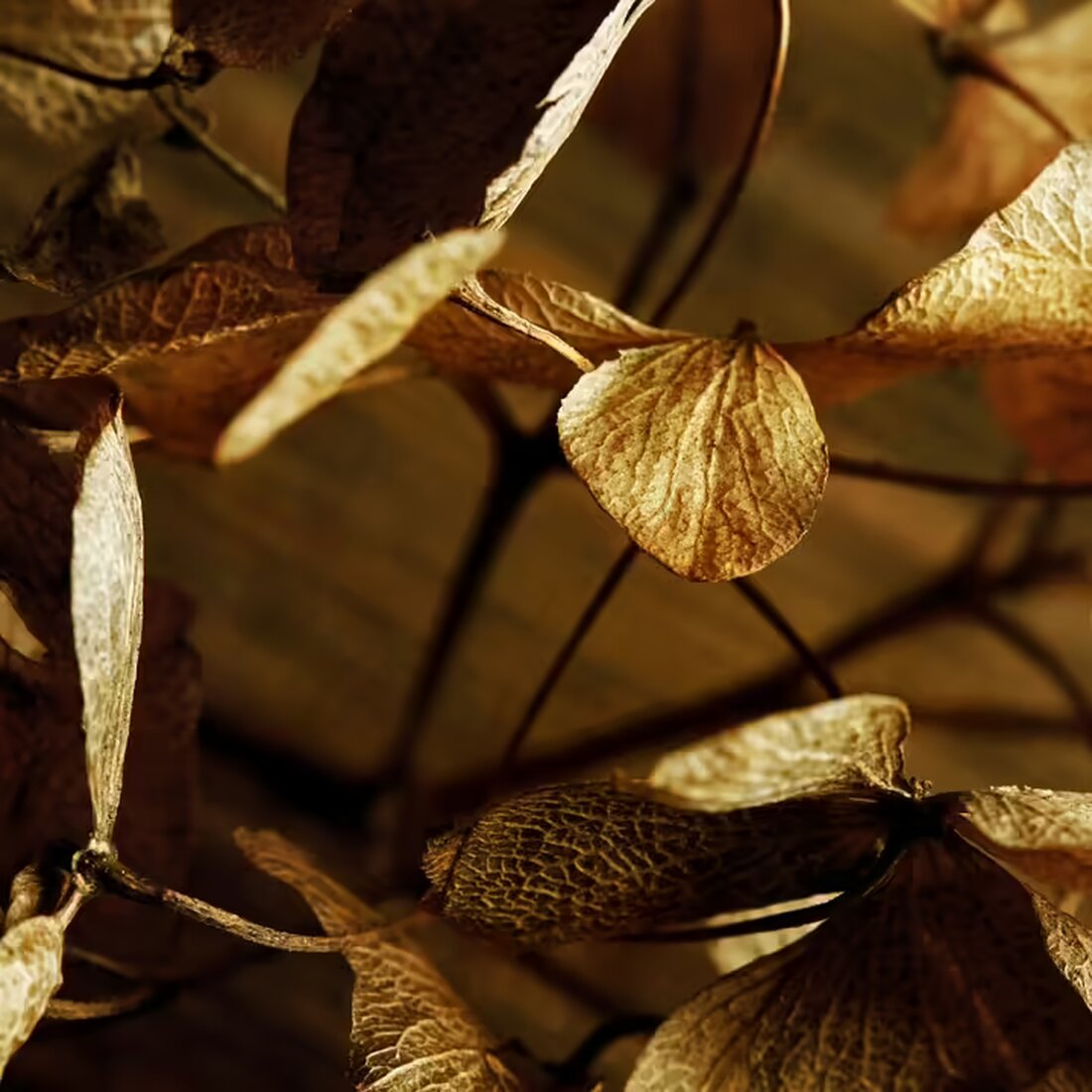 Entdecke die aktuellen Themen aus Salzburg: Widerstand gegen das S-Link-Projekt, musikalische Highlights bei den Pfingstfestspielen und neue Sprechstelle in Saalfelden. Lies mehr!