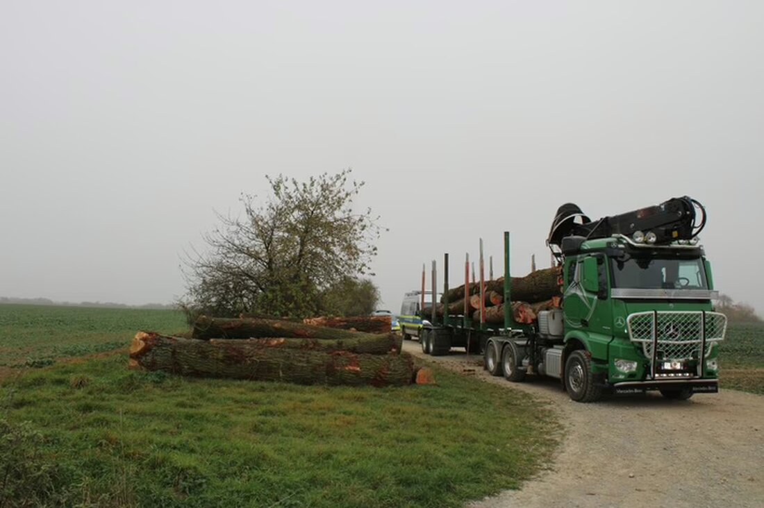Ein Sattelzug lieferte sich am 07.11.2024 bei Holzthaleben eine Verfolgungsfahrt mit der Autobahnpolizei wegen Widerstands und Überladung.