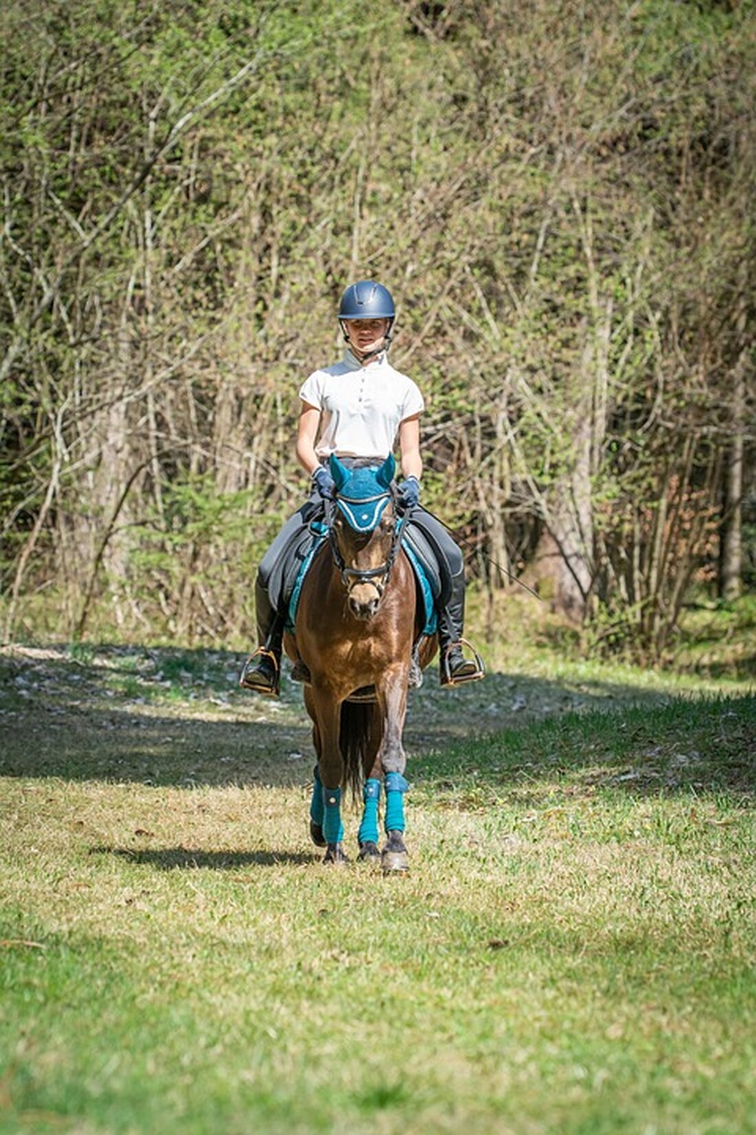 Ein alkoholbedingter Verkehrsunfall in Klagenfurt führte am 24. November 2024 zu Verletzungen bei einer 41-jährigen Frau und einem 3-jährigen Kind. Beide wurden ins Klinikum gebracht.