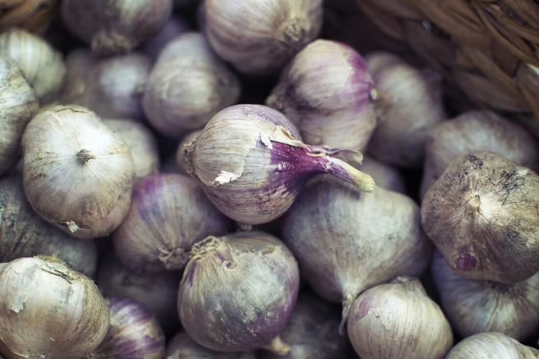 WKG Öblarn/AV Graz sichert sich den dritten Platz in der Damen Bundesliga im Gewichtheben! Spannender Wettkampf am 9. November: VÖEST holt den Titel. Jetzt mehr erfahren!