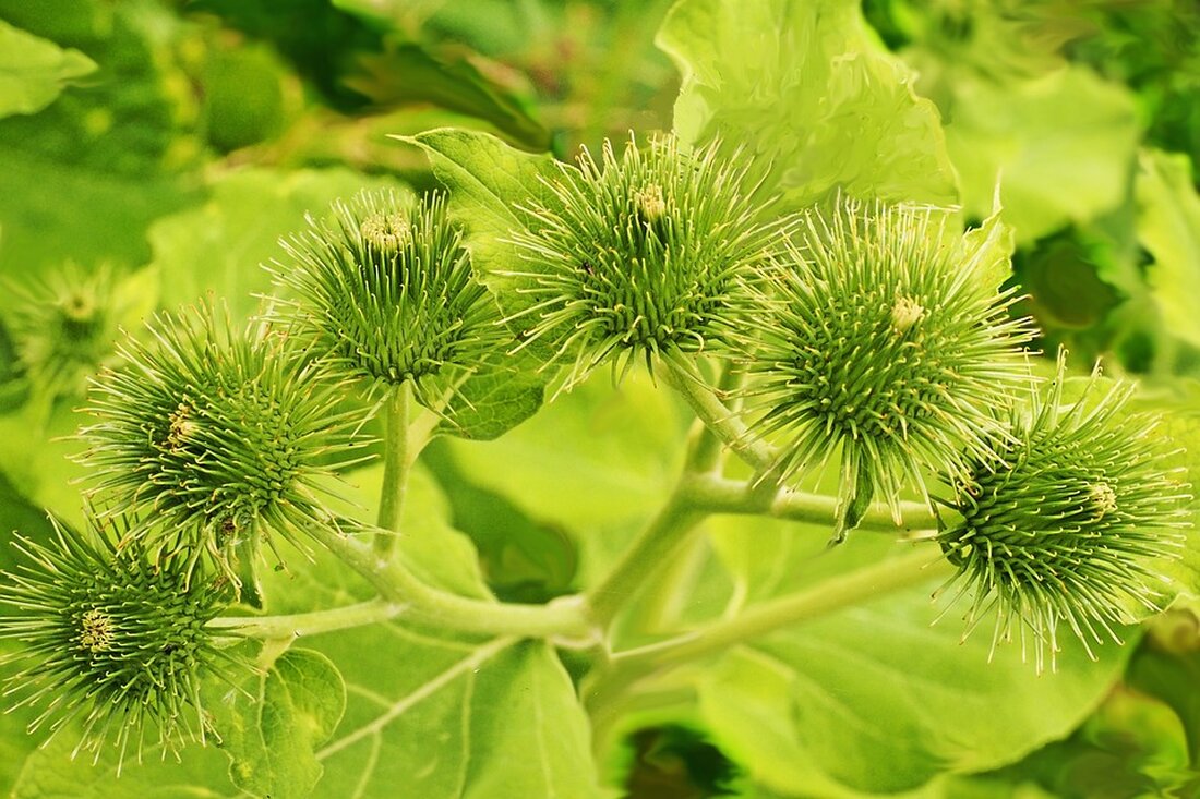 Mehr Polizeipräsenz und Spezialeinheiten sorgen für Sicherheit auf den Weihnachtsmärkten in Österreich. Innenminister Karner betont den Fokus auf Terror- und Eigentumsschutz. Mehr dazu hier!