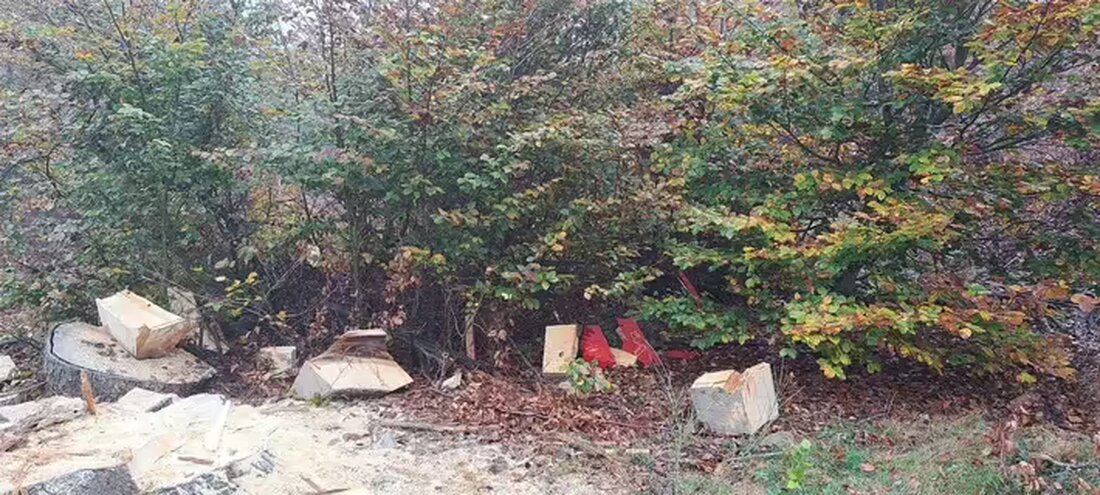 In der Halloween Nacht wurde die Betzi Figur in Johanniskreuz zerstört. Polizei sucht Zeugen für die Sachbeschädigung.