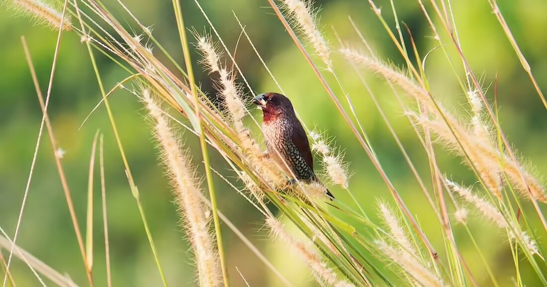 Besuchen Sie die beeindruckende Ausstellung "Skulpturen in der Eichgrabener Galerie", die Werke namhafter Künstler präsentiert. Ein besonderes Highlight war das Konzert von Gilbert Handler und Maja Atzmüller.