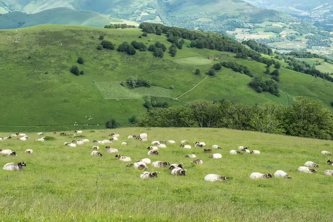 Die Pfarrpartnerschaft Kirchdorf-Kakonko erhält den 30. Solidaritätspreis der Diözese Linz für ihr engagiertes Wirken für Kinder mit Behinderungen in Tansania. Eindrücke von der Verleihung!