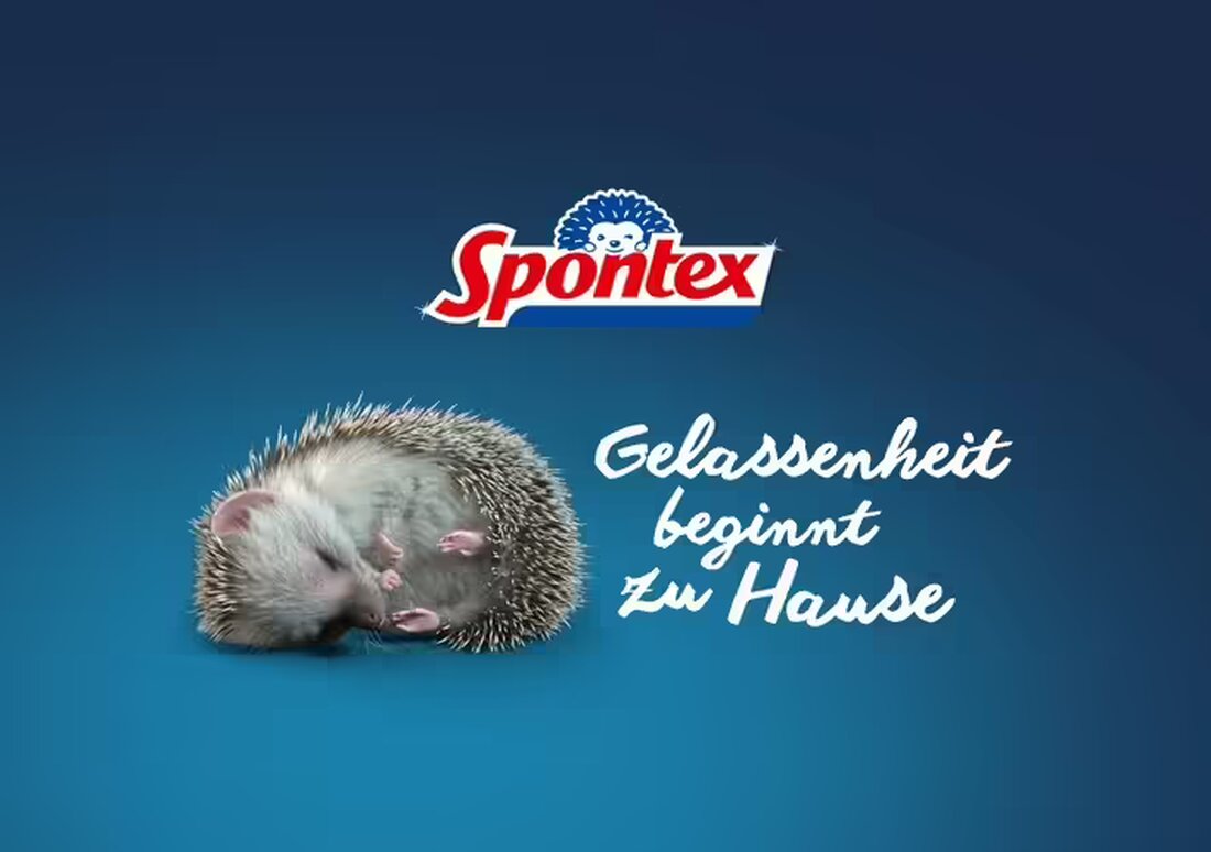 Spontex fördert mit der Kampagne #GelassenheitBeginntZuHause die Reduzierung von mentaler Belastung im Haushalt.
