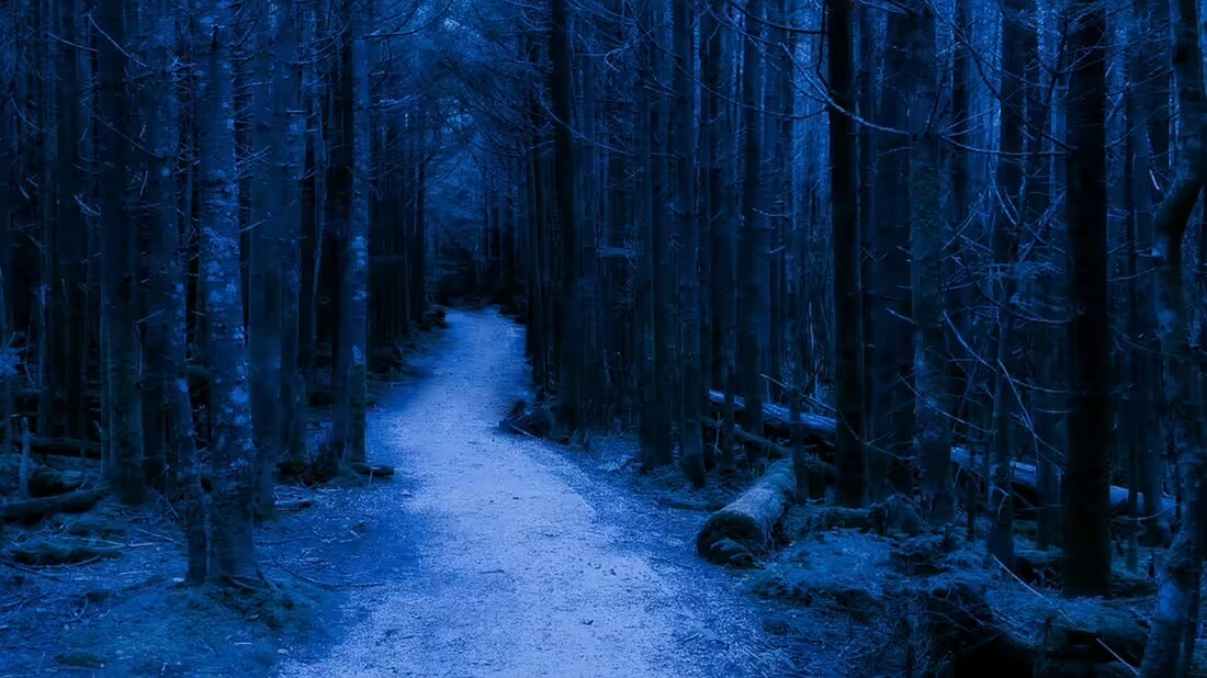 Erleben Sie ein unvergessliches Halloween-Event in der Burg Obervoitsberg! Stadtmarketing Voitsberg lädt am 31. Oktober 2024 Kinder zu einem tollen Programm ein. Jetzt mehr erfahren!