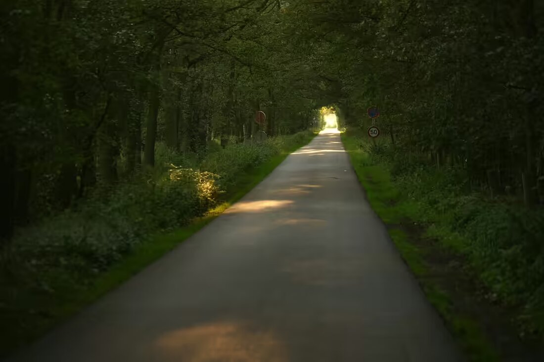 Ein Wiener Mann verschwand spurlos, nachdem er kurz seine Wohnung verließ, um Semmeln zu holen. Was geschah mit Obrad Ilic? Erfahren Sie mehr über diesen mysteriösen Fall.