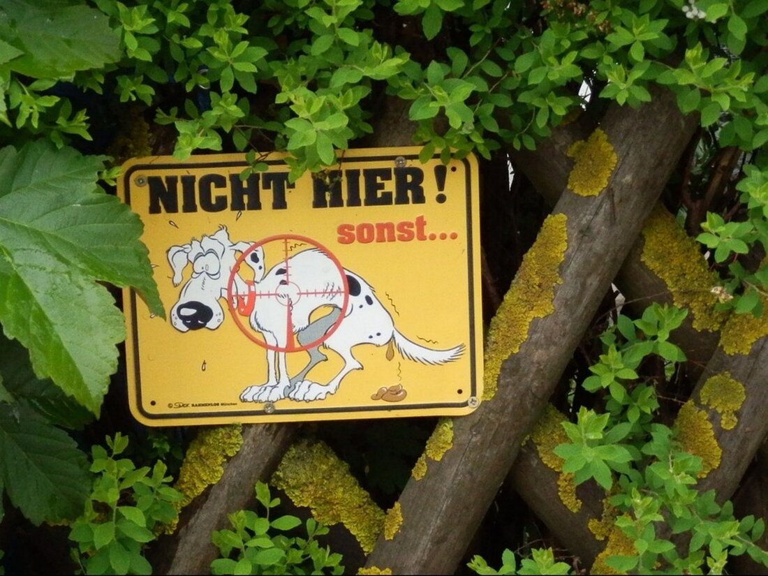 Die Gemeinde Steyregg verhängt ein ganzjähriges Hundeverbot für die Freibadeplätze am Pleschinger Badesee. Verstöße können mit hohen Geldstrafen bis zu 7.000 Euro geahndet werden. Erfahren Sie mehr!