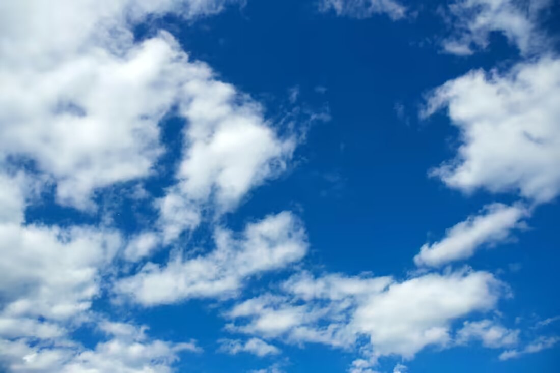 Gestern, am 5. November 2024, wurde der festliche Christbaum in Ried aufgestellt. Er verleiht dem Hauptplatz ein festliches Ambiente und markiert den Beginn der Adventszeit. Schauen Sie vorbei!
