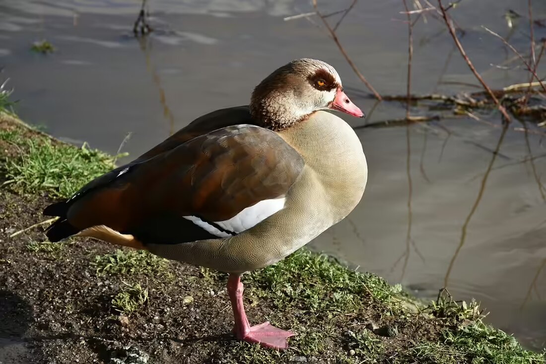 Erleben Sie das traditionelle Striezelschnapsen der Kinderfreunde Kreuttal, das Jung und Alt begeistert. Ein Höhepunkt der Herbstsaison im Kreuttal – verpassen Sie nicht die besten Momente!