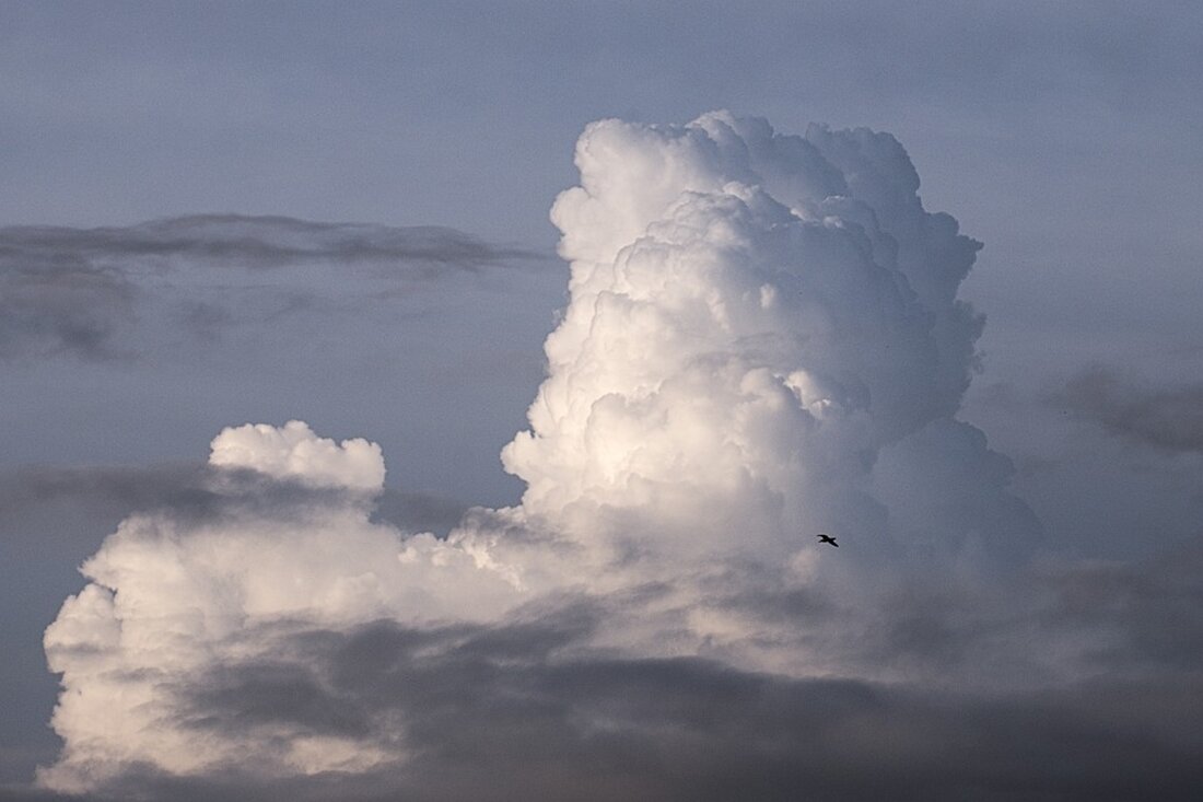 Kickl feiert einen "Sturm der Erneuerung" in Graz und fordert eine gerechte Zukunft unter Landeshauptmann Kunasek. Ist das der Beginn eines echten Wandels in der Steiermark?