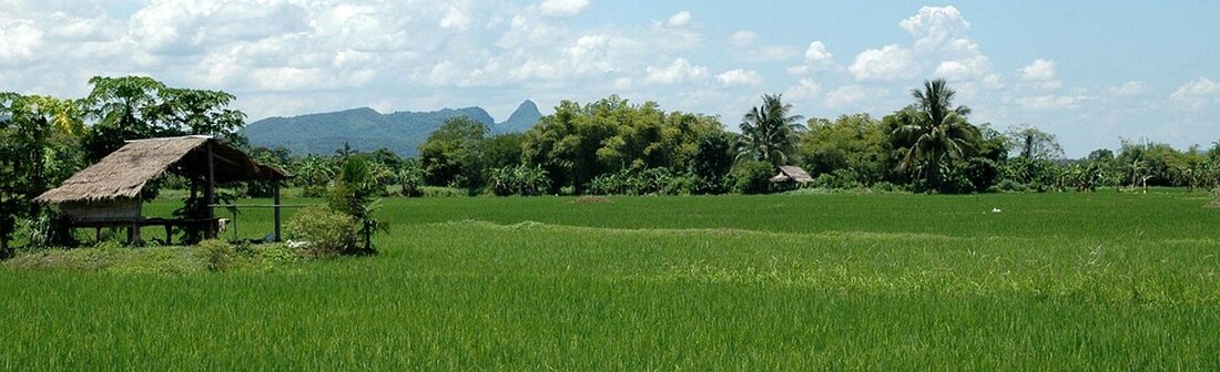 Die Liste der von Thailands strengen Majestätsgesetzen Betroffenen wächst weiter: Menschenrechtsanwälte, Akademiker und sogar ehemalige Regierungschefs stehen vor schweren Anklagen. Erfahren Sie mehr über die Risiken und Herausforderungen.