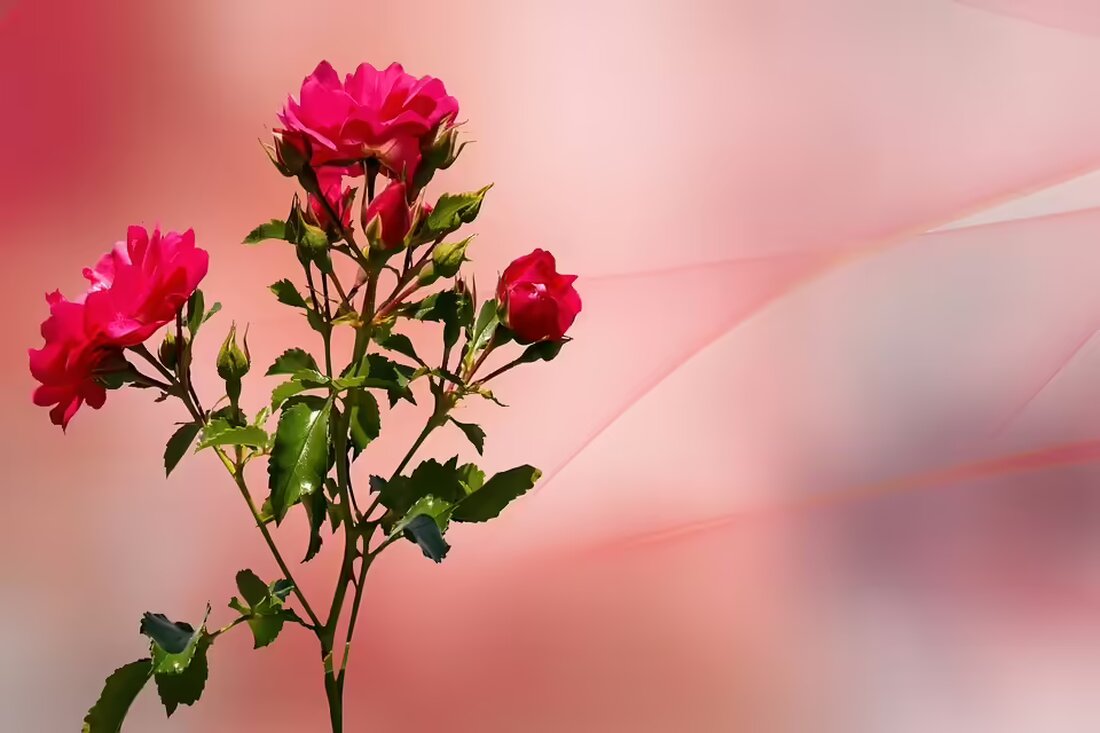 Die Theatergruppe Kleinweikersdorf präsentiert ab 9. November das Lustspiel „Der 75. Geburtstag“ von Walter G. Pfaus im Dorfzentrum „Hier und Jetzt“. Sehen Sie das Ensemble inaction!