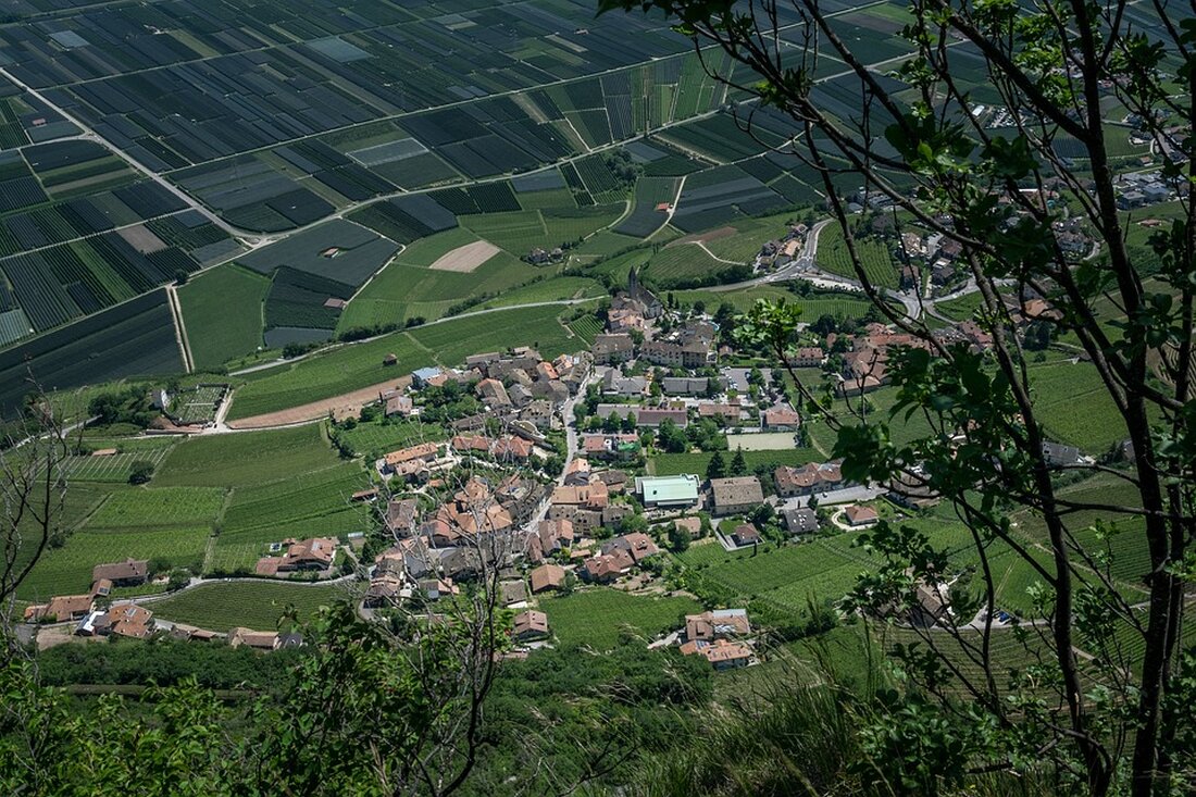 Erfahrt, wie die Gemeinde Wenns eine Wohlfühloase für Kinder schafft und Jungmeister im Gewerbe ausgezeichnet werden. Außerdem: spannende lokale Nachrichten und aktuelle Wetterprognosen aus Tirol.