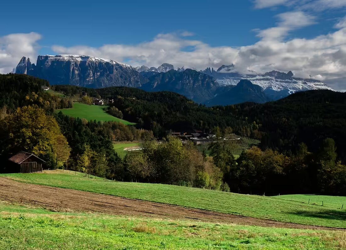 Der FC Wacker Innsbruck strebt im Kerschdorfer Tirol Cup einen Sieg an, während der IAC mit einem neuen Trainerteam optimistisch in die Rückrunde startet. Lesen Sie mehr über die aktuellen Entwicklungen im Innsbrucker Fußball!