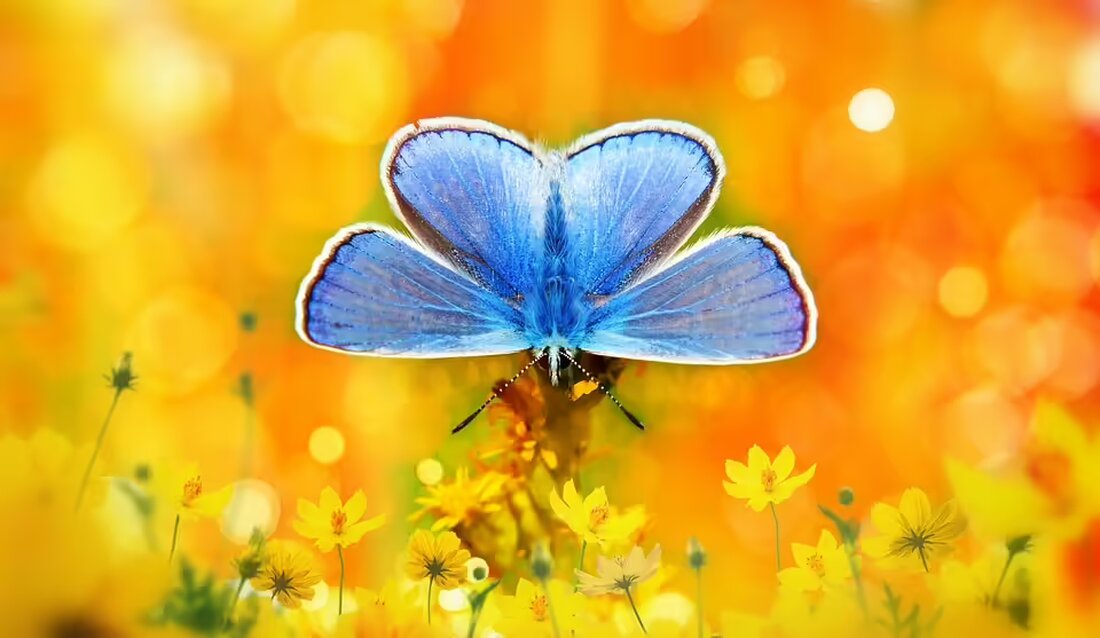 Tom Cruise ermittelt angeblich hinter den Kulissen des Konflikts zwischen Nicole Kidman und Salma Hayek während der Pariser Modewoche. Wer trägt die Schuld an ihrer Fehde?