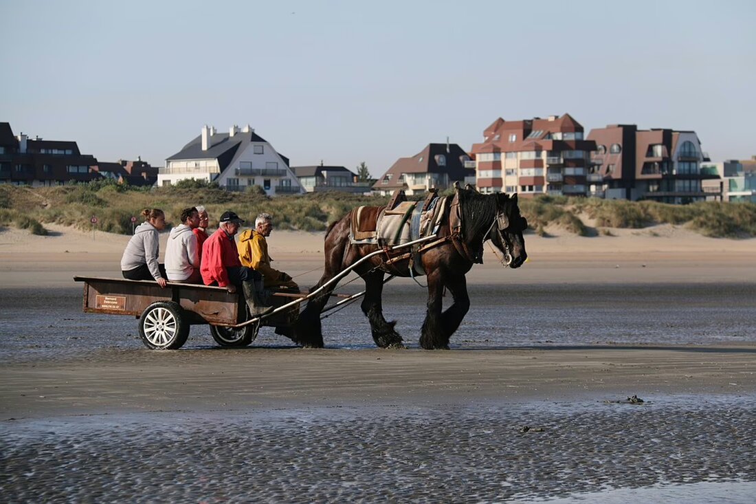 Erleben Sie die Tradition der Martinikonzerte in Rudersdorf! Die Marktmusik begeisterte mit einem abwechslungsreichen Programm und ehrte langjährige Musiker:innen. Ein Fest für die Sinne!