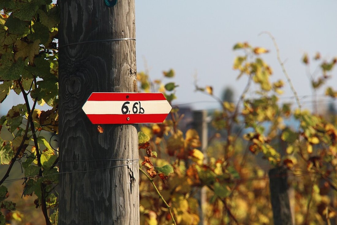 Ein tragischer Verkehrsunfall in der Südsteiermark: Ein 63-jähriger Fußgänger wurde von einem Auto erfasst. Weitere Details zu den Umständen und Folgen des Vorfalls finden Sie im Artikel.