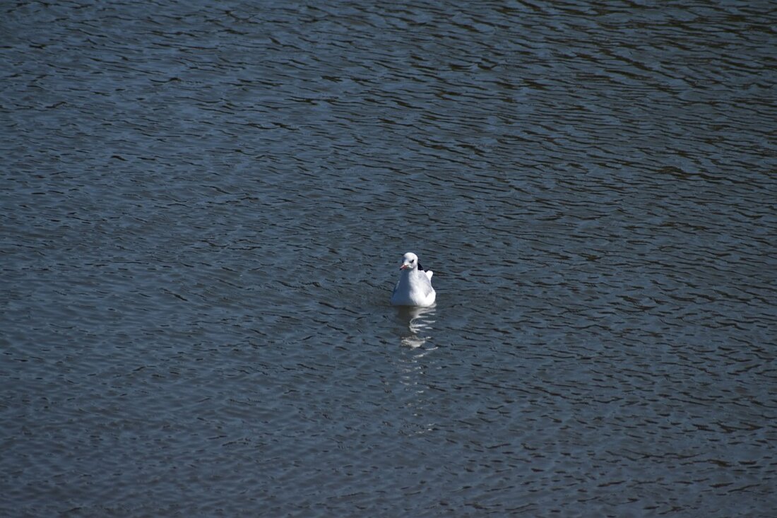 In Wien-Favoriten wurde ein lebloses Kind in einer Wohnung aufgefunden. Die Polizei hat Ermittlungen eingeleitet. Weitere Details folgen. Bleiben Sie informiert über diese tragische Nachricht.