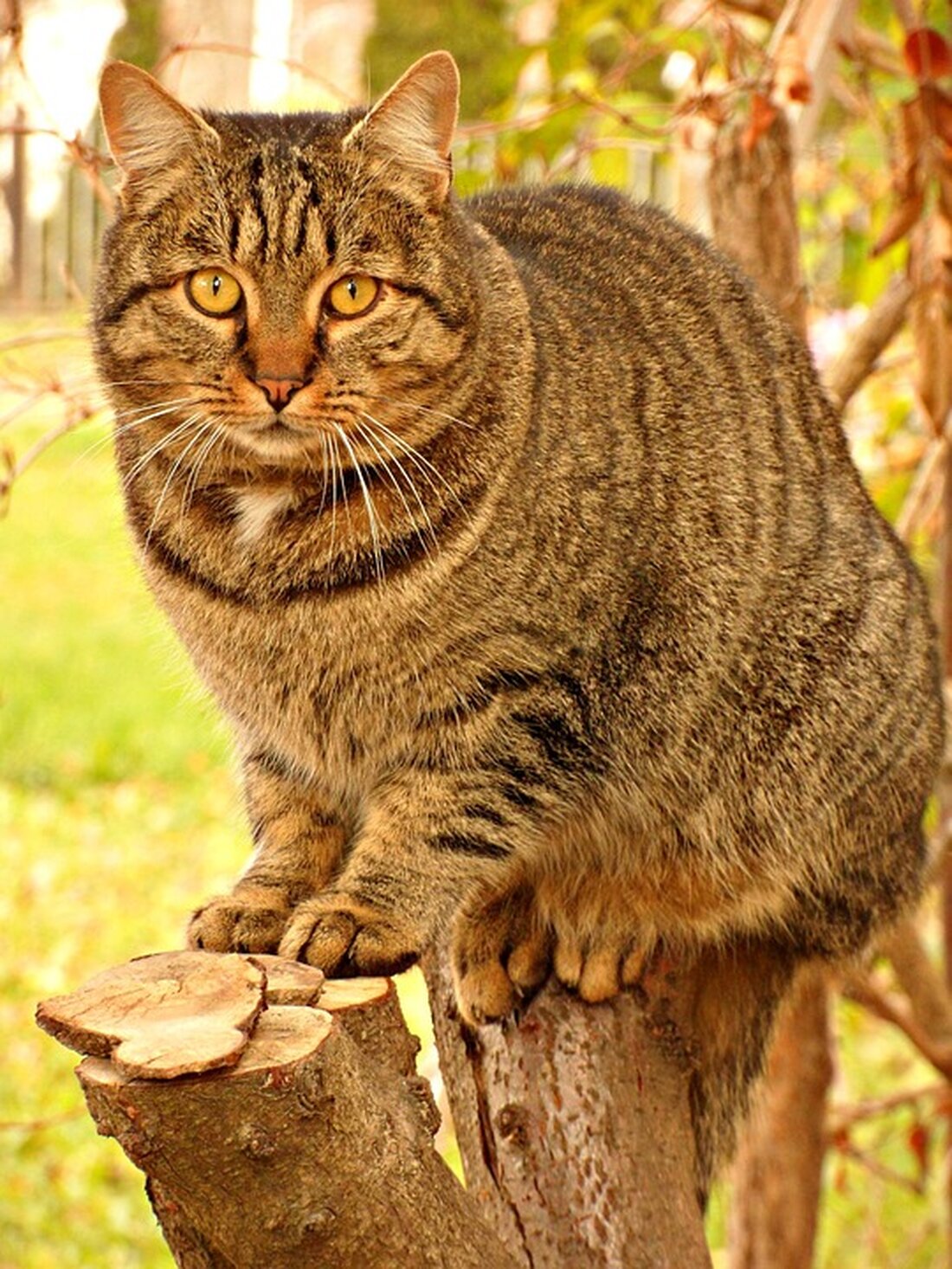 Ein tragischer Vorfall ereignete sich in Wien-Favoriten: Ein totes Kind wurde entdeckt. Erfahren Sie mehr über die Hintergründe und Reaktionen der Öffentlichkeit in unserem neuesten Artikel.