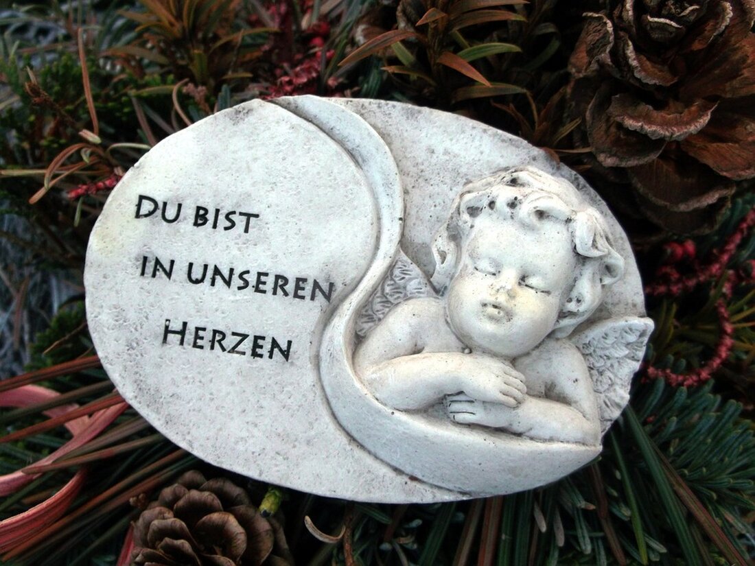 Ein 27-jähriger Mann steht wegen der tödlichen Angriffe auf drei Sexarbeiterinnen in Wien-Brigittenau vor Gericht. Erfahren Sie mehr über die Hinterbliebenen und deren Situation.