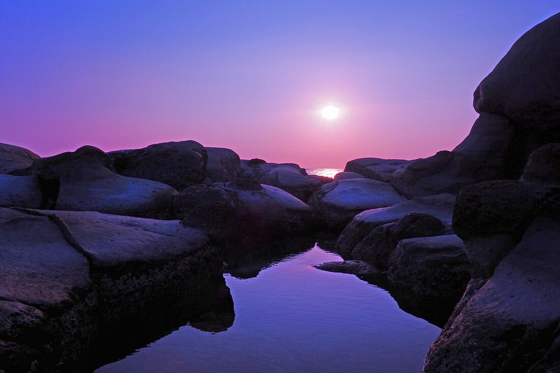 Trump berichtet, dass Xi Jinping ihm versichert hat, China werde Taiwan nicht angreifen, solange er Präsident der USA ist. Einblick in die angespannte Lage in den US-chinesischen Beziehungen.