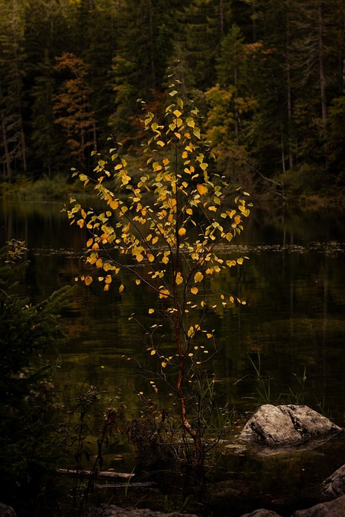 Donald Trump bekräftigte während eines Treffens mit dem südkoreanischen Präsidenten, dass er bereit ist, sich mit Kim Jong Un zu treffen, um den Frieden auf der koreanischen Halbinsel zu fördern.