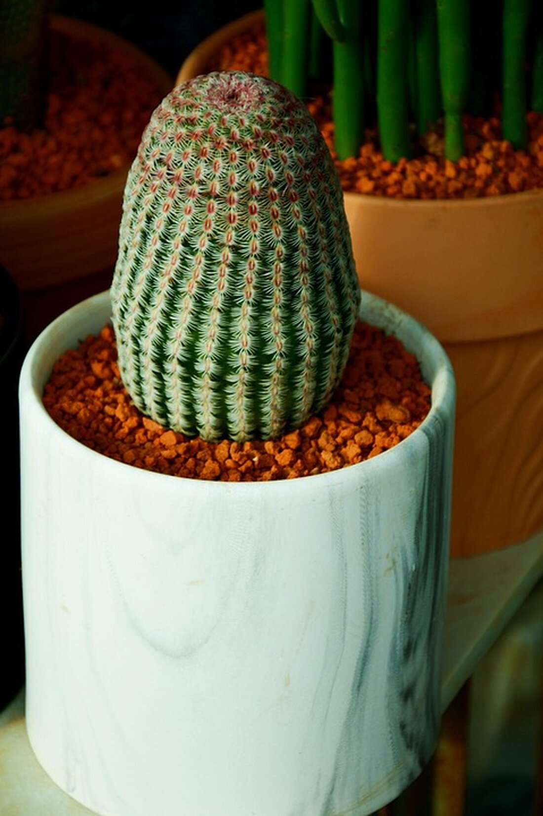 Zwei afrikanische Nationen unterzeichnen ein US-vermitteltes Friedensabkommen, doch viele bezweifeln, dass es den langanhaltenden Konflikt im Kongo beenden kann. Trump fordert Anerkennung, während Skepsis bleibt.