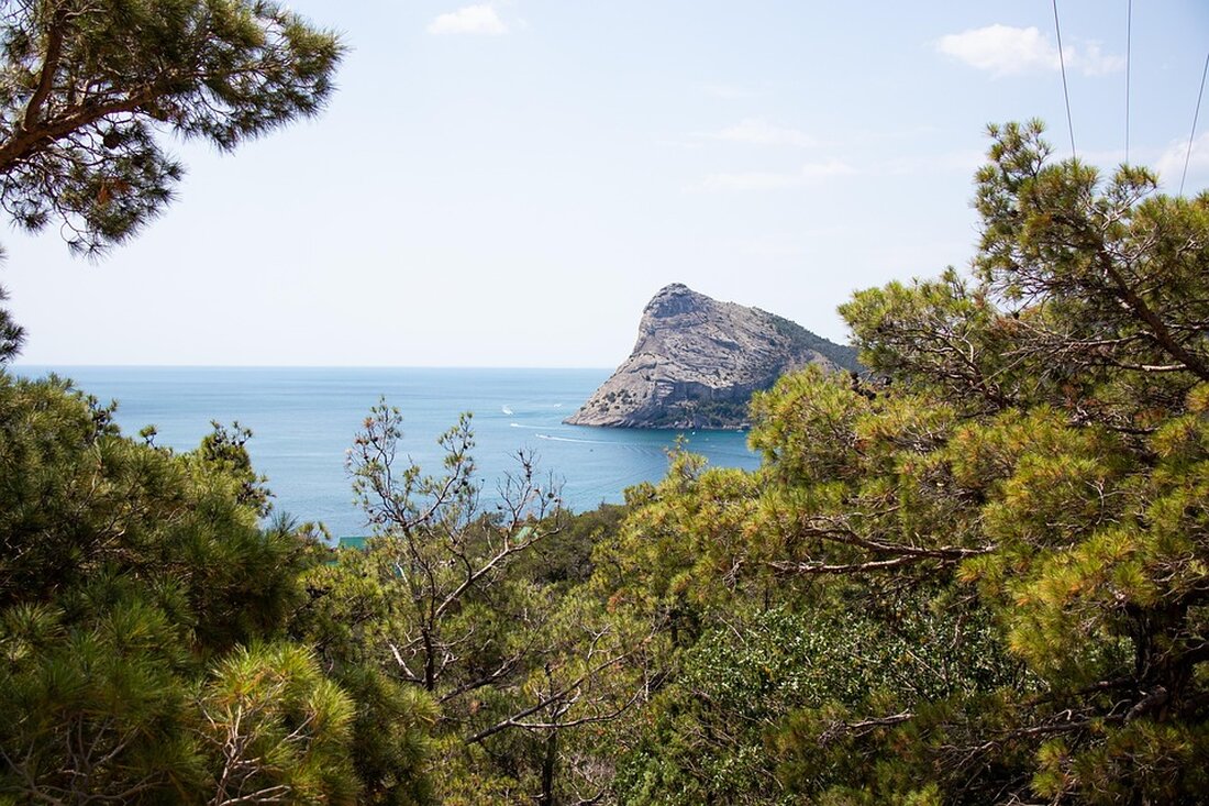 In Kiew wurde ein Offizier des ukrainischen Geheimdienstes SBU in einem mutmaßlichen Attentat erschossen. Ermittlungen sind im Gange, während die Polizei nach dem Täter fahndet.