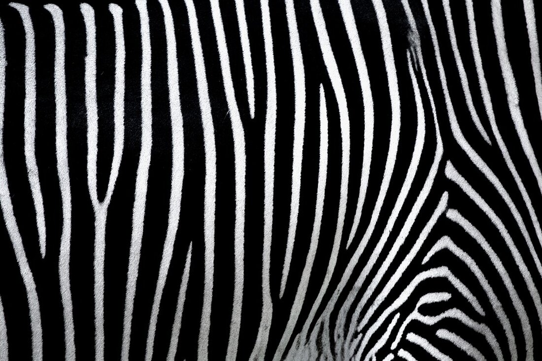 In Neunkirchen wurde eine 63-jährige Fußgängerin auf einem Zebrastreifen von einem 36-jährigen Autofahrer erfasst und leicht verletzt. Die Polizei hat den Unfall aufgenommen. تفاصيل أكثر في unserem Artikel.