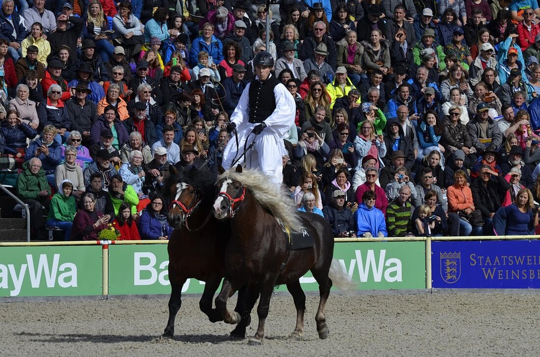 Die ungarische Polizei hat den Budapest Pride-Marsch der LGBTQ+-Community für den 28. Juni verboten. Dies folgt einer umstrittenen Gesetzgebung zum Schutz von Kindern. Weitere Informationen folgen.