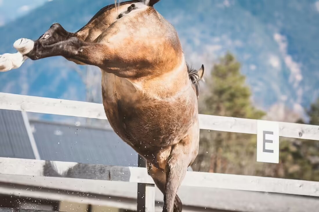 Alois Schlager aus Seitenstetten äußert scharfe Kritik an der Wiener Erklärung von Kickl und Orbán, die er als undemokratisch und menschenverachtend empfindet. Lesen Sie seinen Leserbrief auf Steyr News.