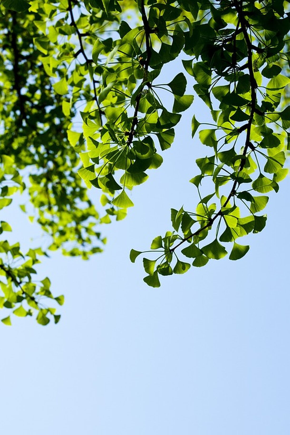 Erfolgreicher Auftritt beim 26. Kinder- und Jugendcup in Linz: Die Karateka der Union Shotokan Karate Do Oberpullendorf sichern sich neun Gold- und fünf Silbermedaillen. Ein stolzes Team!