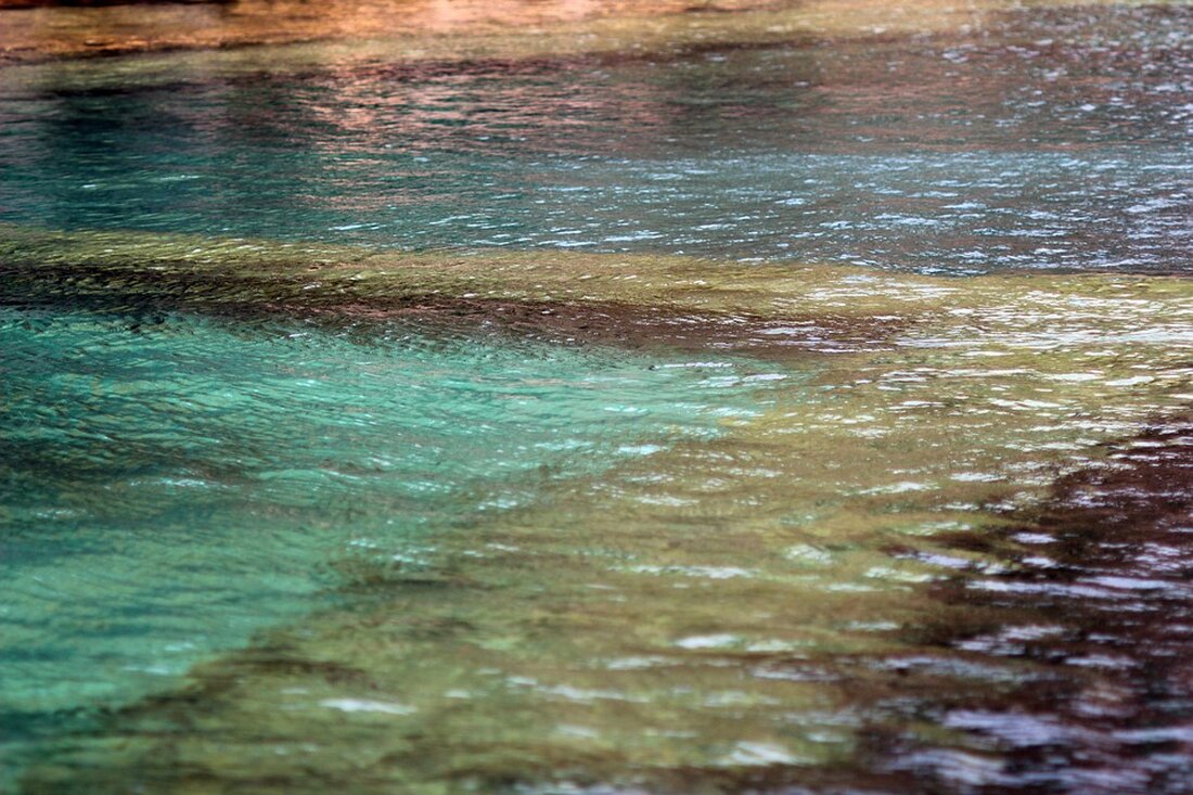 Entdecken Sie die faszinierende Unterwasserstadt Halfeti in der Türkei, wo legendäre schwarze Rosen erblühen und Geschichte lebendig wird. Erfahren Sie mehr über Kultur, Vergangenheit und die beeindruckende Natur.
