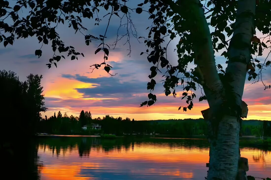 Entdecken Sie zehn tolle Lokale in Innsbruck, die leckere vegane Speisen anbieten. Ideal für Veganer und alle, die die pflanzenbasierte Küche ausprobieren möchten!