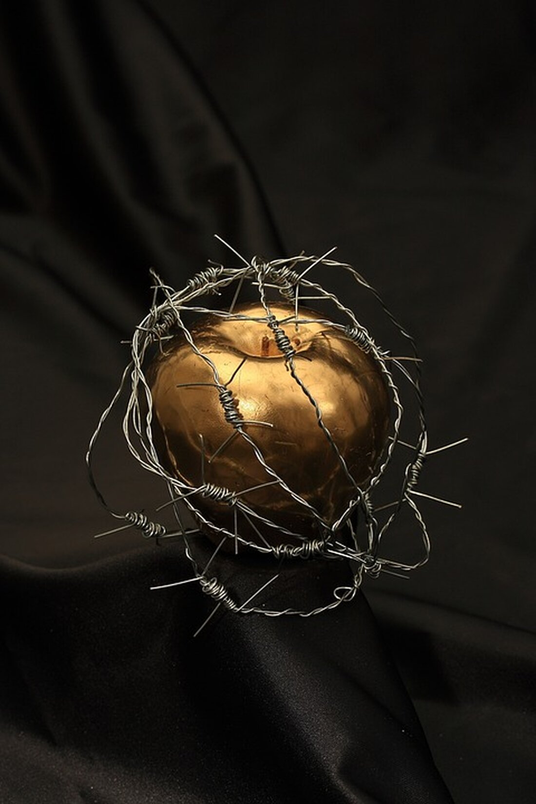 Der Gemeinderat von Steyregg hat ein ganzjähriges Hundeverbot am Pleschinger See beschlossen. Dies folgt auf verschärfte Hundehaltergesetze und stößt auf breiten Widerstand. Was bedeutet das für Hundebesitzer?