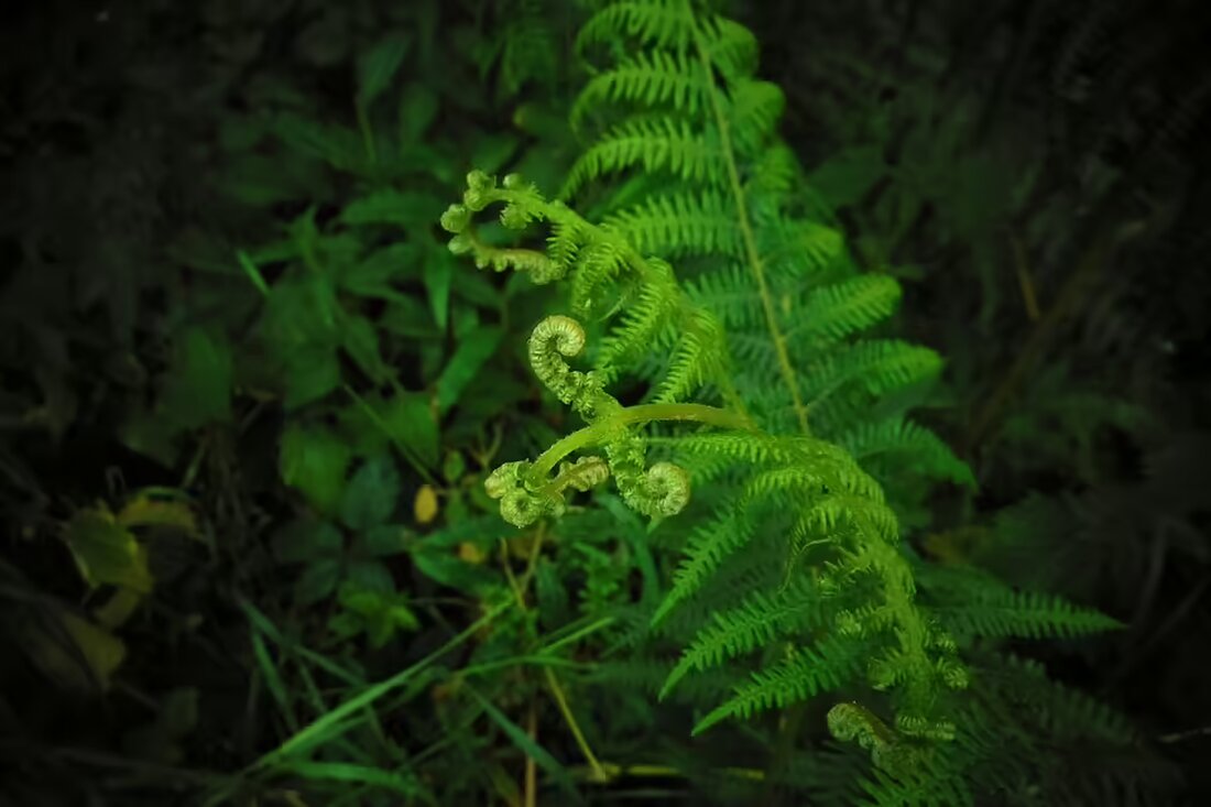 Entdecken Sie die besten Veranstaltungen in Neunkirchen für November 2024! Von Konzerten über Comedy bis Freizeitaktivitäten – hier sind die aktuellen Highlights und Ticketinfos.