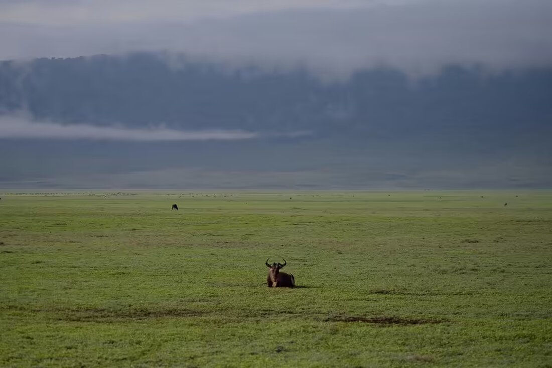 Entdecken Sie in unserem Artikel über "Kritik.Üben: Über Bau, Macht und Meinung - Feldkirch" die vielfältigen Inhalte und Themen, die von der Austria Presse Agentur und anderen Anbietern bereitgestellt werden.