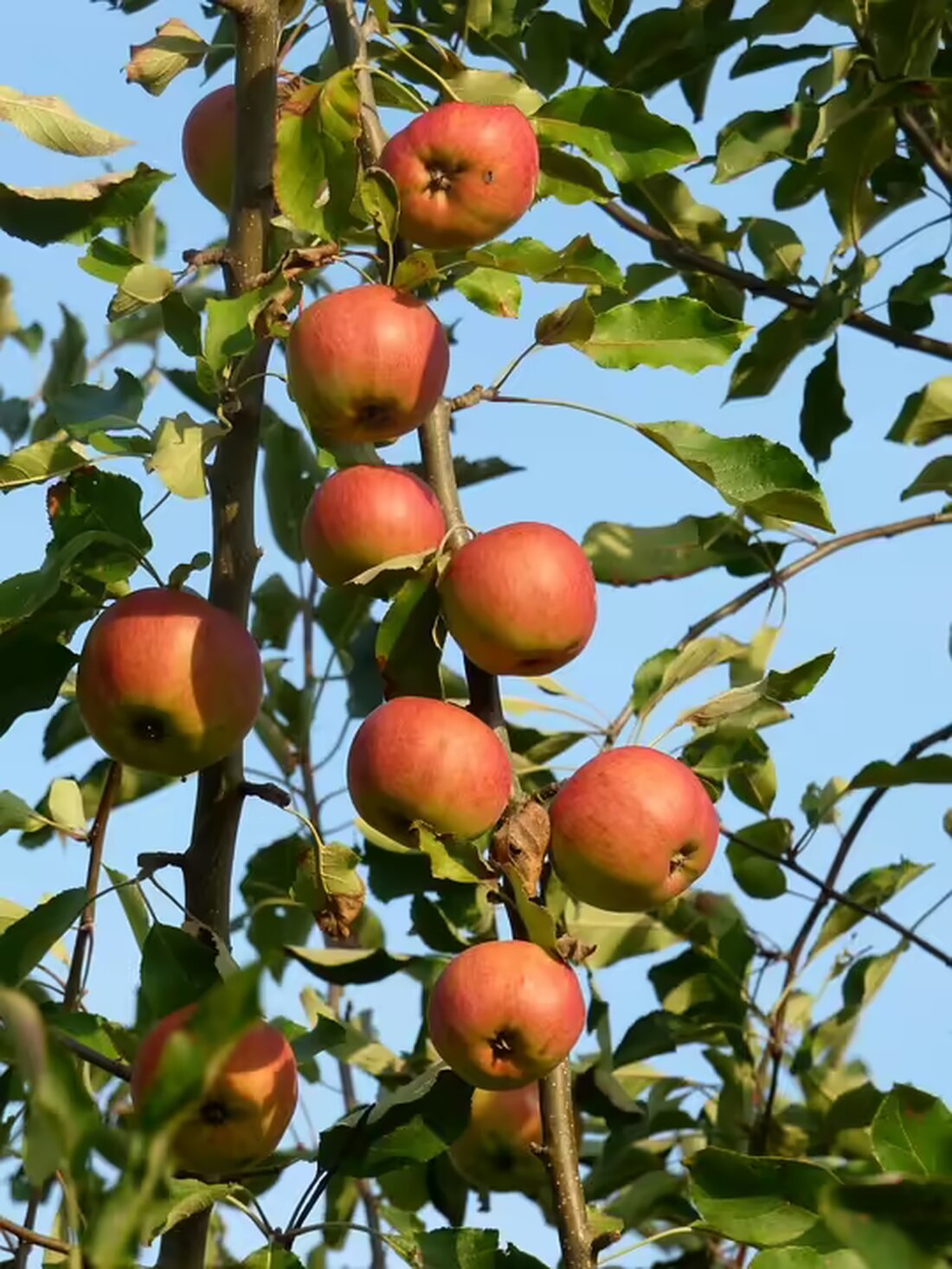 Erfahren Sie, warum die Salzburger Mobilitätslösung eine Jahrhundert-Chance ist. Kosten und Nutzen wurden analysiert, und der positive Kosten-Nutzen-Vergleich spricht für sich! Abstimmung am 10. November. Erfahren Sie mehr.