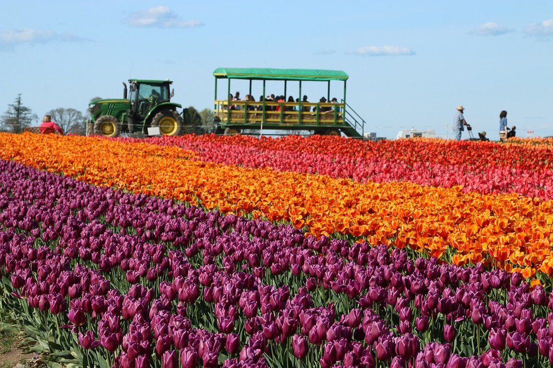 Erleben Sie "Elfen allein zu Haus" – ein mitreißendes Familienstück voller Weihnachtszauber und Humor! Diese Wort-losige Aufführung begeistert Jung und Alt gleichermaßen. Seien Sie dabei und sichern Sie sich Ihr Ticket!