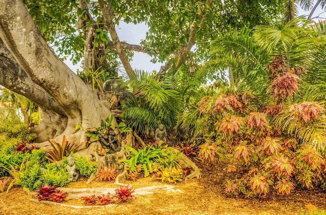 Nach jahrzehntelangem Leben in Florida haben Geoff und Pennie Zuercher den Traum verwirklicht, in Nizza, Südfrankreich, zu leben. Erfahren Sie, warum der langsame Lebensstil und die Kultur sie begeistert.