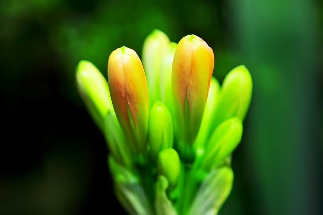 Die Markuskirche in Wolfsberg erstrahlt in neuem Glanz! Schüler der Fachberufsschule entwarfen ein eindrucksvolles Logo für das bevorstehende Jubiläumsjahr 2025, das Hoffnung und Solidarität symbolisiert.