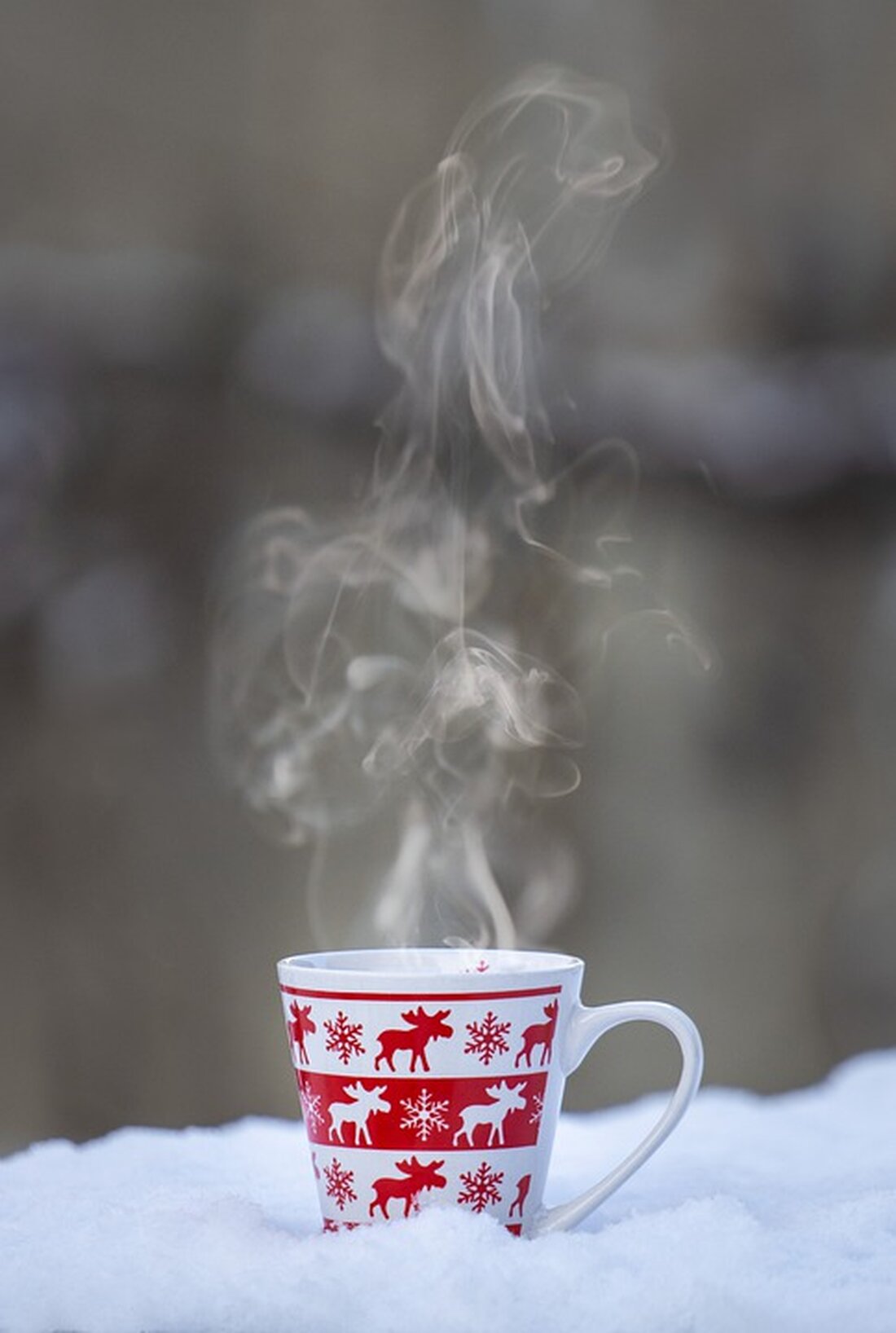 Entdecken Sie die besten Cafés auf der Wieden, die köstliche heiße Getränke und Wohlbefinden bieten. Von traditionellem Wiener Kaffeehaus-Charme bis zu japanischen Teespezialitäten – genießen Sie die Vielfalt!