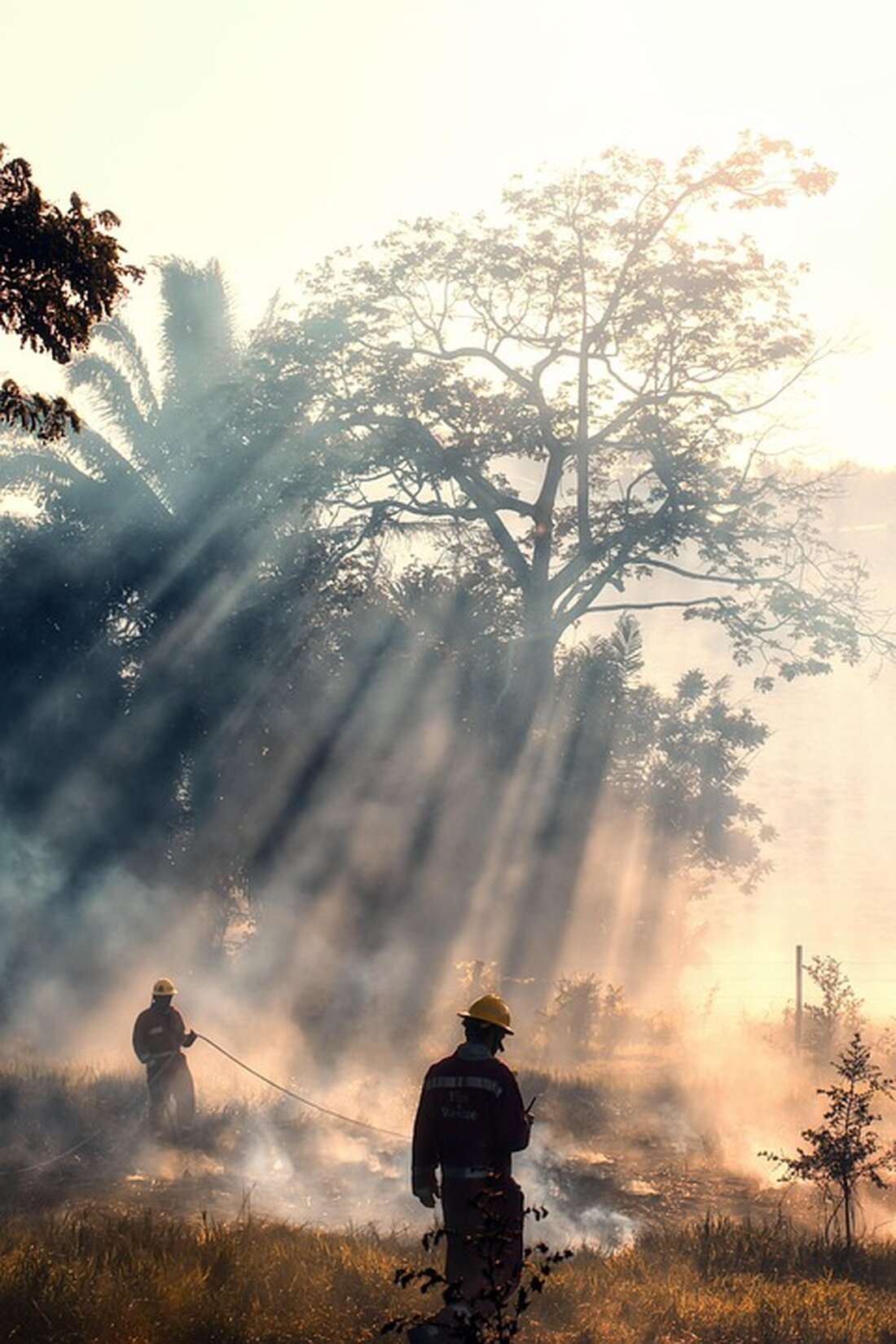 Ein rasch um sich greifendes Feuer in Südfrankreich hat über 11.000 Hektar verbrannt und eine ältere Frau das Leben gekostet. Rund 1.500 Feuerwehrleute kämpfen gegen die Flammen, während mehrere Gemeinden betroffen sind.