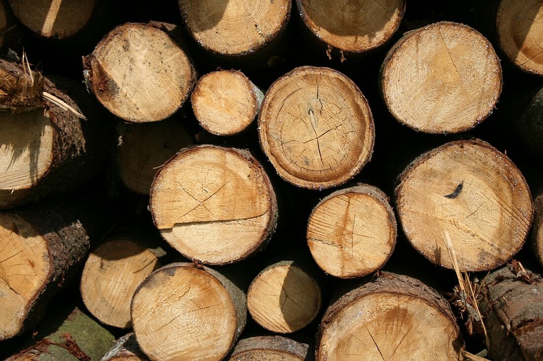 In der Gleisdorfer Schießstattgasse gibt es noch keine Wohnungen, da Anwohner gegen die Rodung eines Waldstücks protestiert haben. Lesen Sie, warum das Projekt ins Stocken geriet.