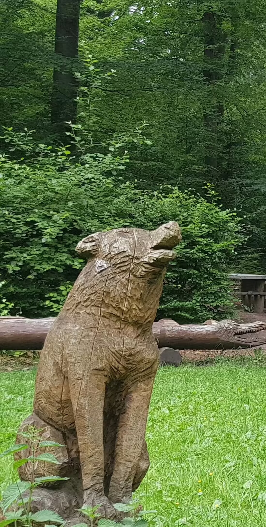 In Einbeck wurde zwischen dem 09. und 11. November 2024 eine 150 cm große Holzfigur eines Wolfes gestohlen. Hinweise bitte an die Polizei.